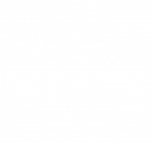 VERMUT PAPATAN LOGO